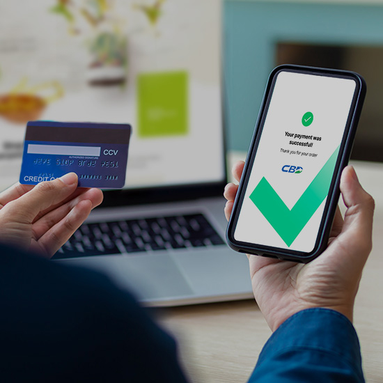 Virtual Online Terminal Virtual Online Terminal