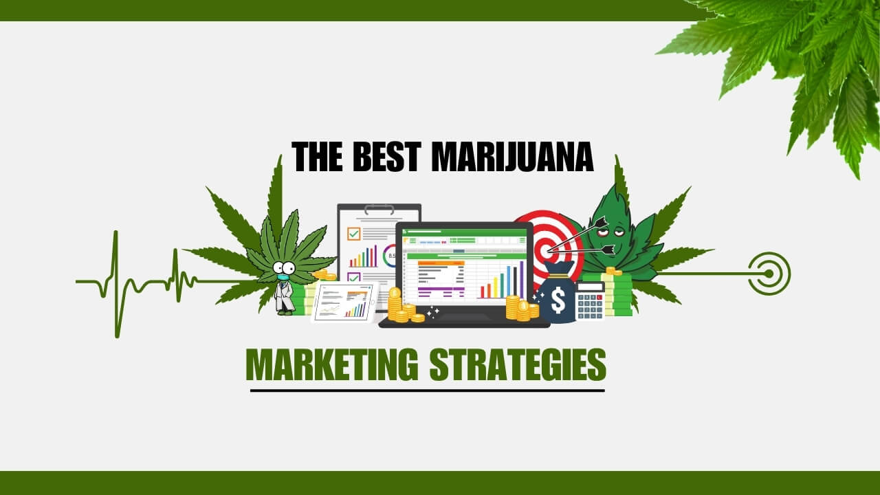 8 Best Marijuana Marketing Strategies to Know in 2025